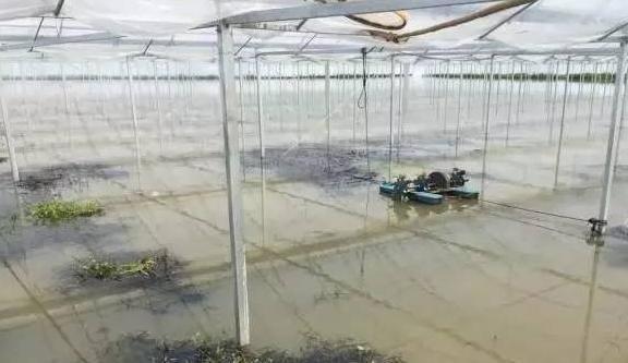 龙虾北方能养殖吗_龙虾北方能养小虾吗_北方能养小龙虾吗