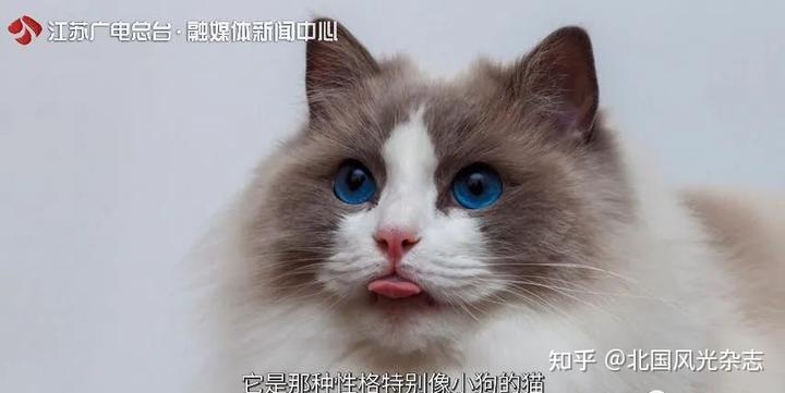盱眙龙虾小镇具体位置_盱眙的小龙虾_盱眙 小龙虾