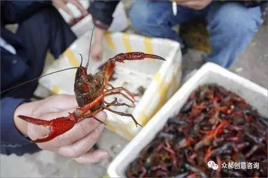 盱眙小龙虾店一年能赚多少_盱眙龙虾销售渠道_盱眙龙虾怎么卖