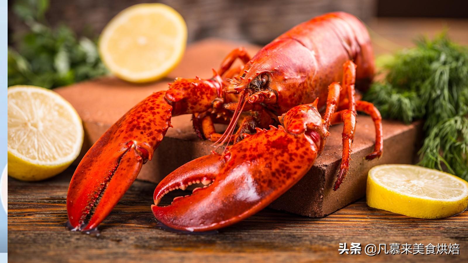 小龙虾的寿命_小龙虾寿命无限_龙虾寿命无限