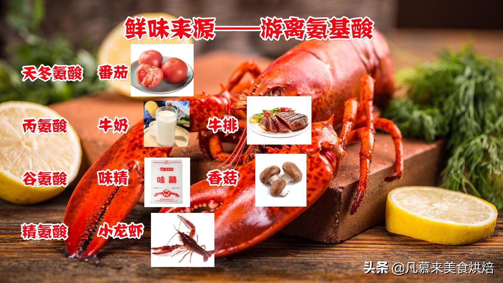 龙虾寿命无限_小龙虾的寿命_小龙虾寿命无限