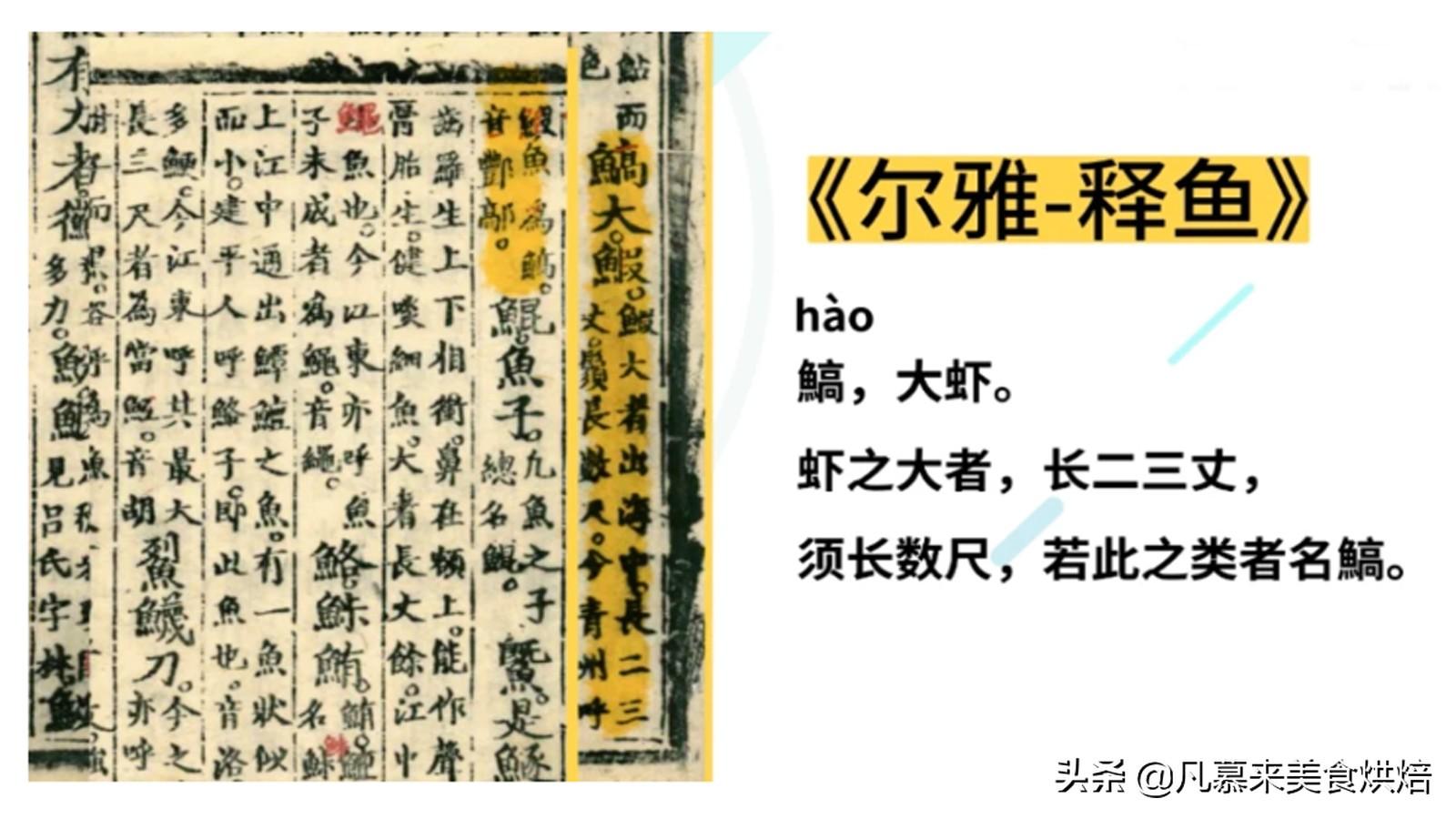 龙虾寿命无限_小龙虾的寿命_小龙虾寿命无限