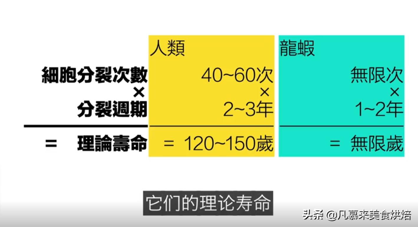 小龙虾寿命无限_龙虾寿命无限_小龙虾的寿命