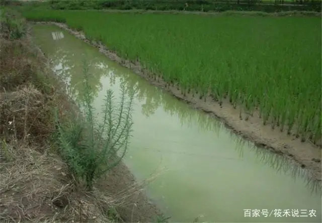 养小龙虾塘怎么挖才好_养龙虾的塘怎么挖标准_小龙虾养殖塘怎么挖