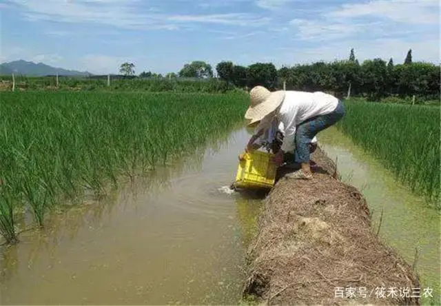 养小龙虾塘怎么挖才好_小龙虾养殖塘怎么挖_养龙虾的塘怎么挖标准