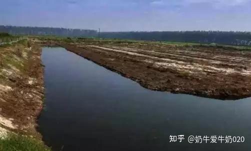养殖小龙虾一亩的成本_龙虾养殖成本多少_龙虾养殖成本小的原因