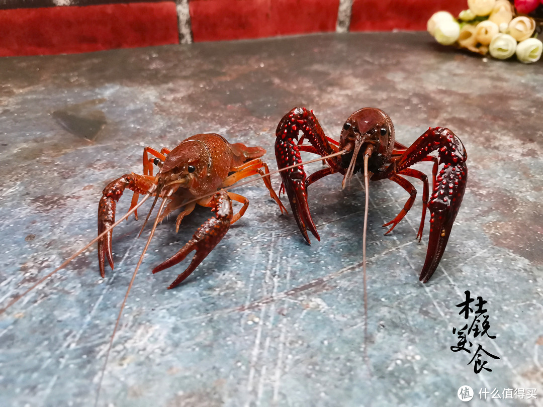 小龙虾，买红虾还是青虾？选错虾肉少还压秤，知道后少花钱买好虾