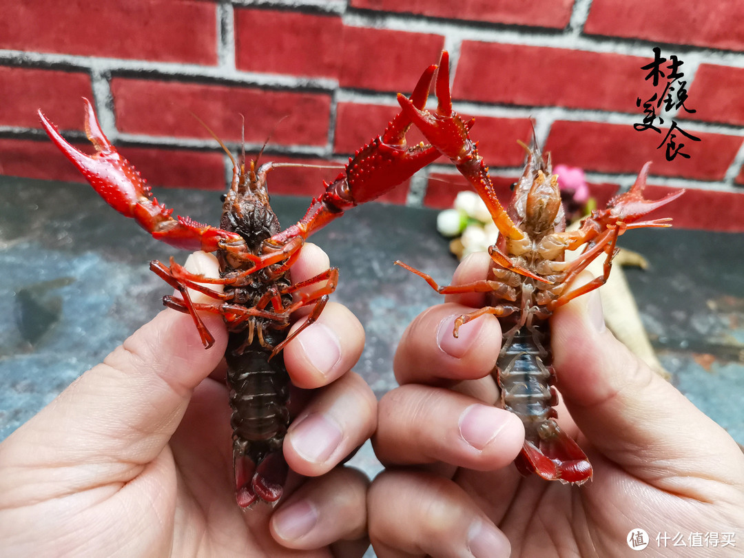 小龙虾，买红虾还是青虾？选错虾肉少还压秤，知道后少花钱买好虾